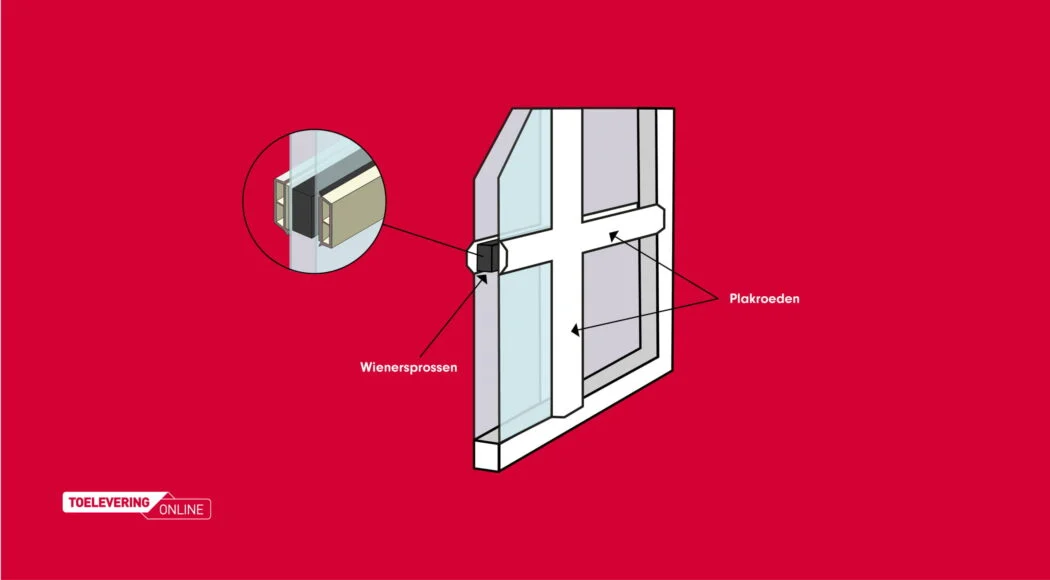 wat-zijn-wiener-sprossen