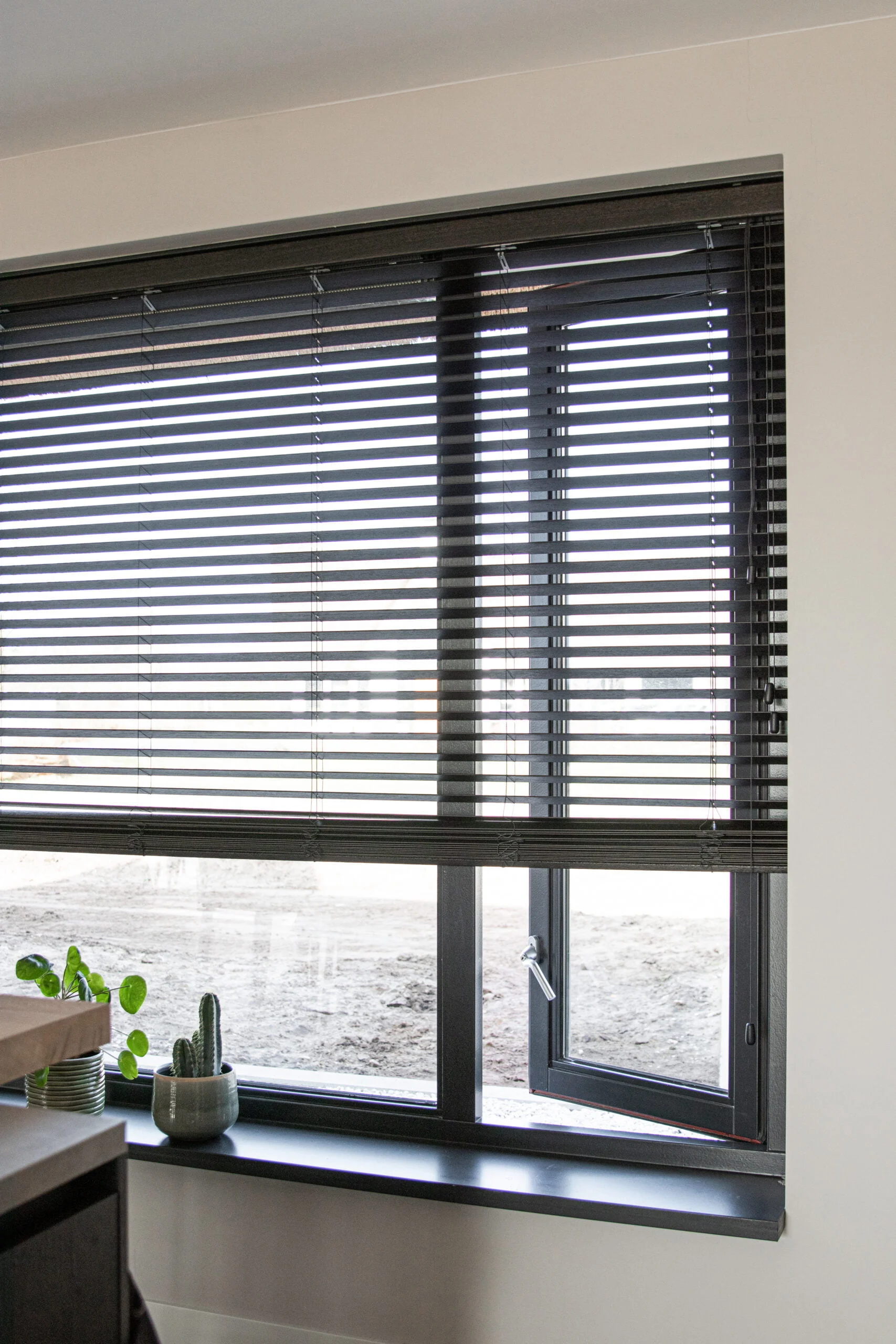 Draairaam met bovenlicht | 2 vakken | hout